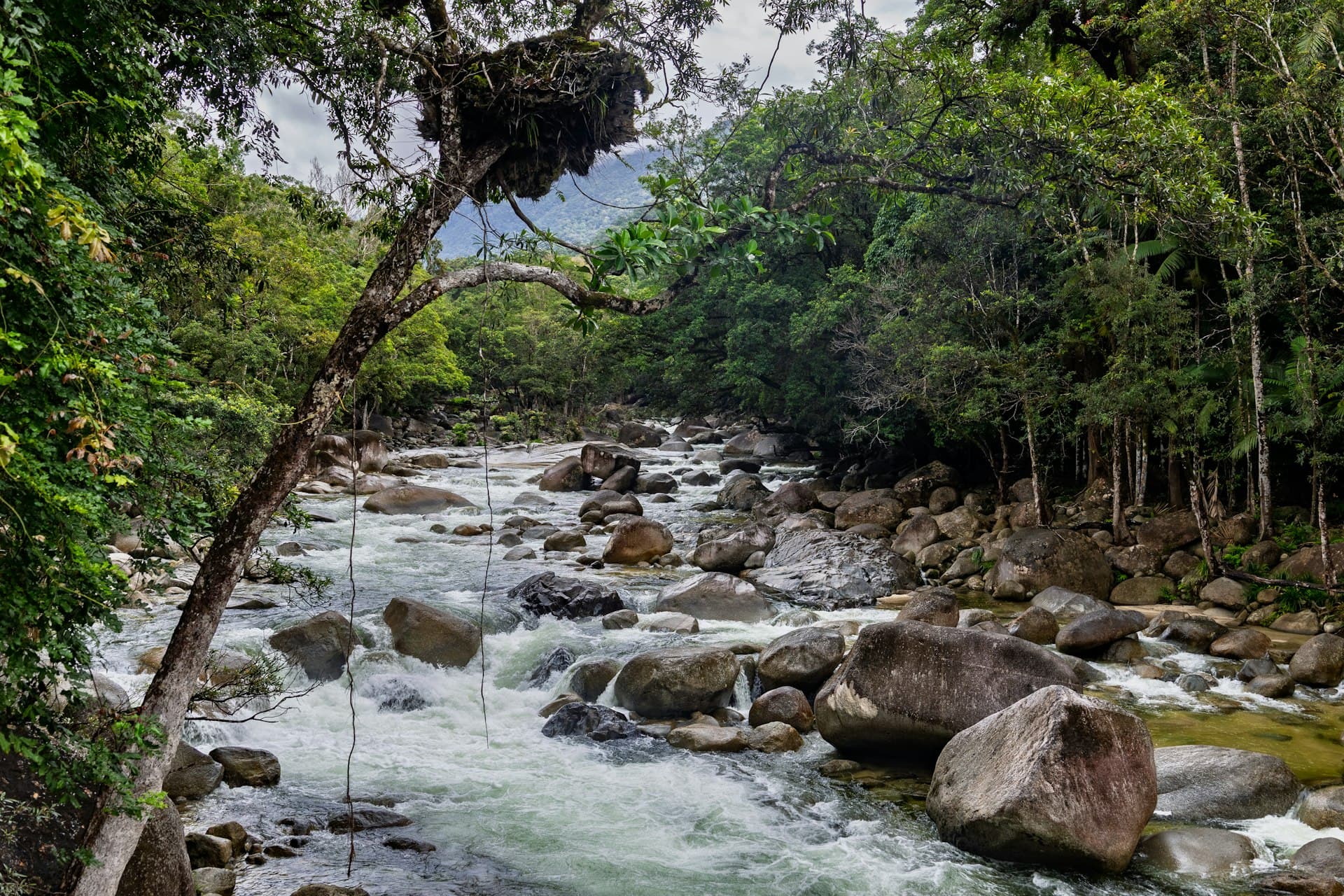 Galería 8